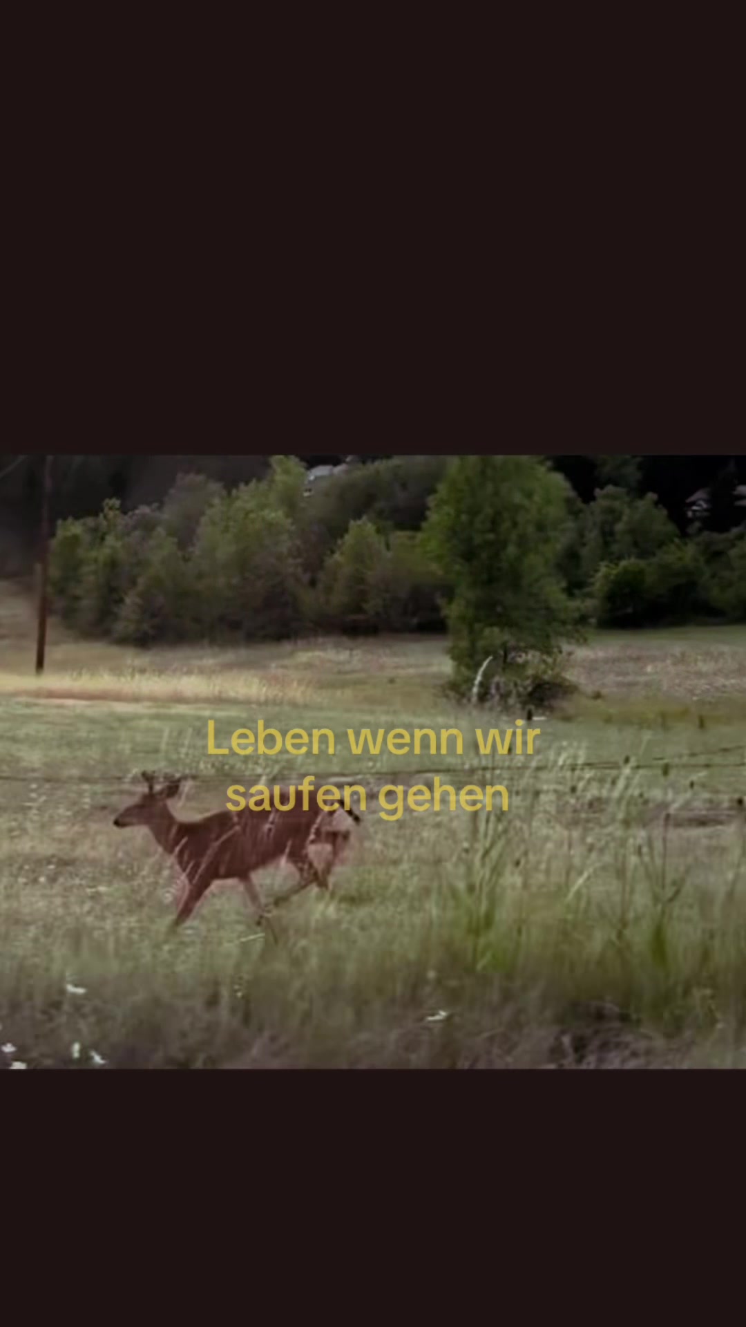 @❦