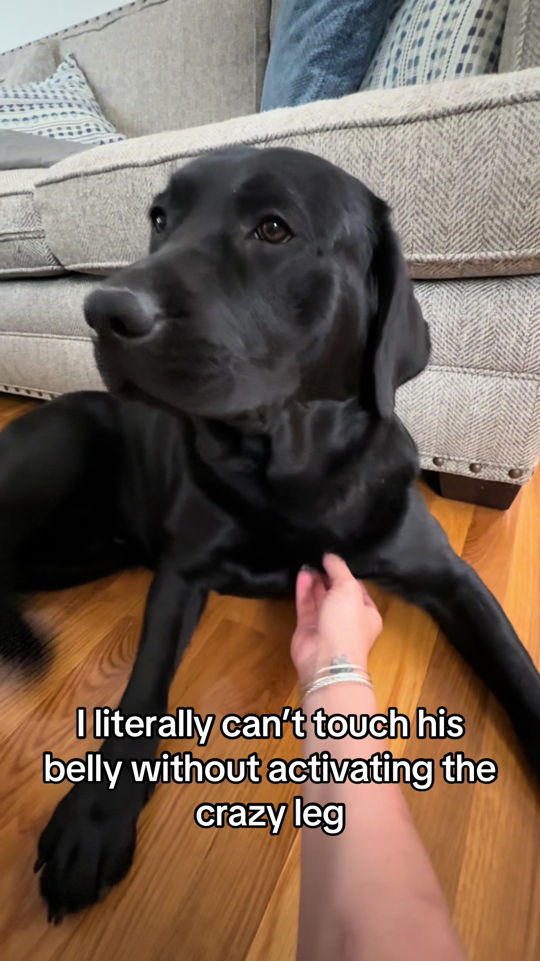 @DennisTheBlackLab