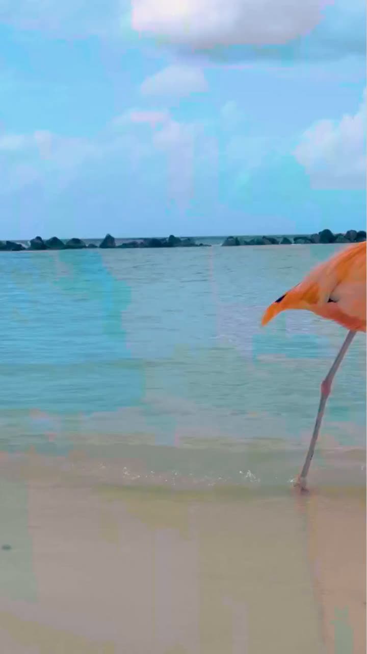 @S&uuml;&szlig;e Tiere