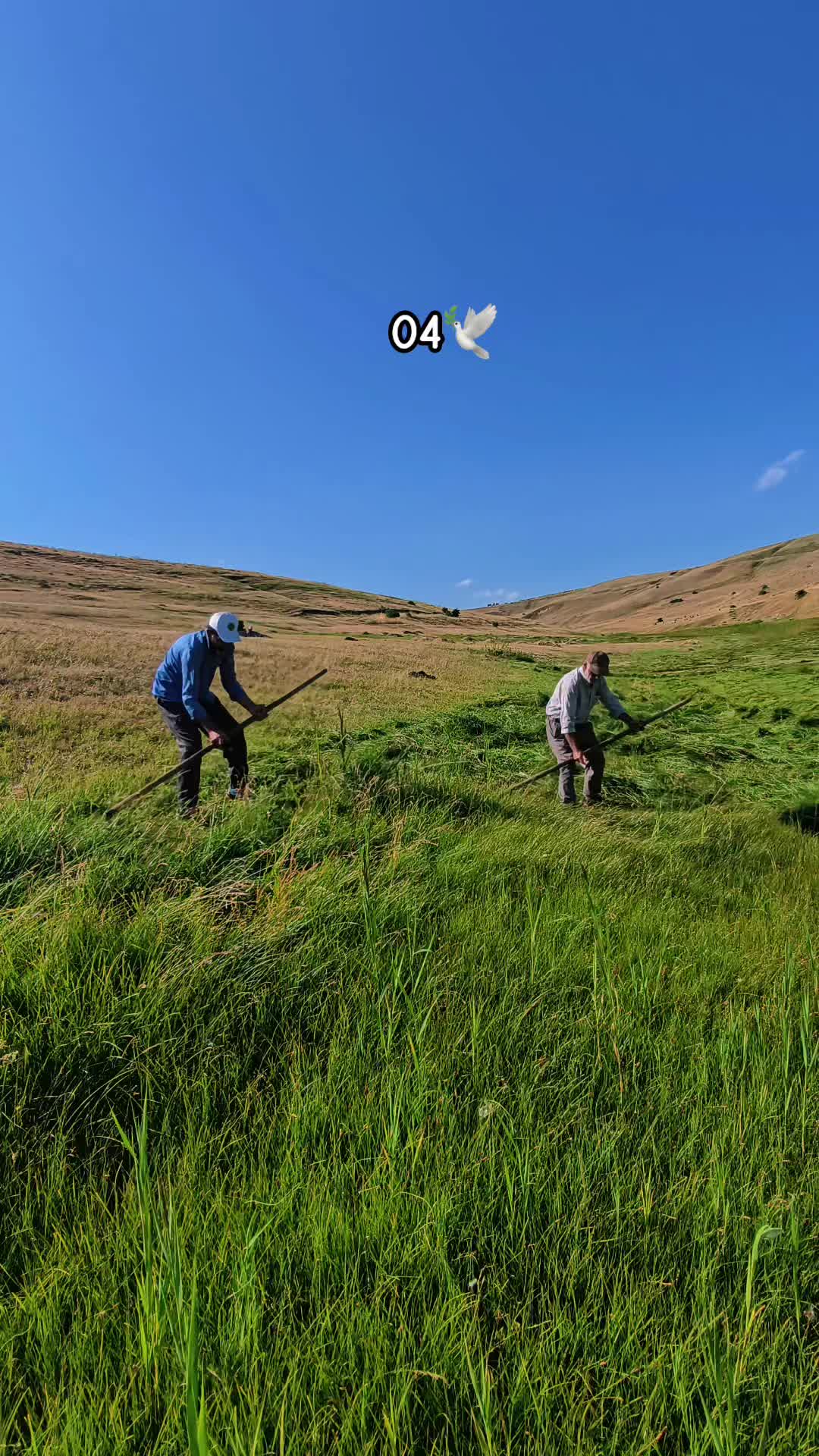 @SAMİ G&Uuml;NEŞ