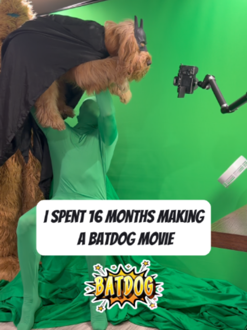 @Brodie The Goldendoodle