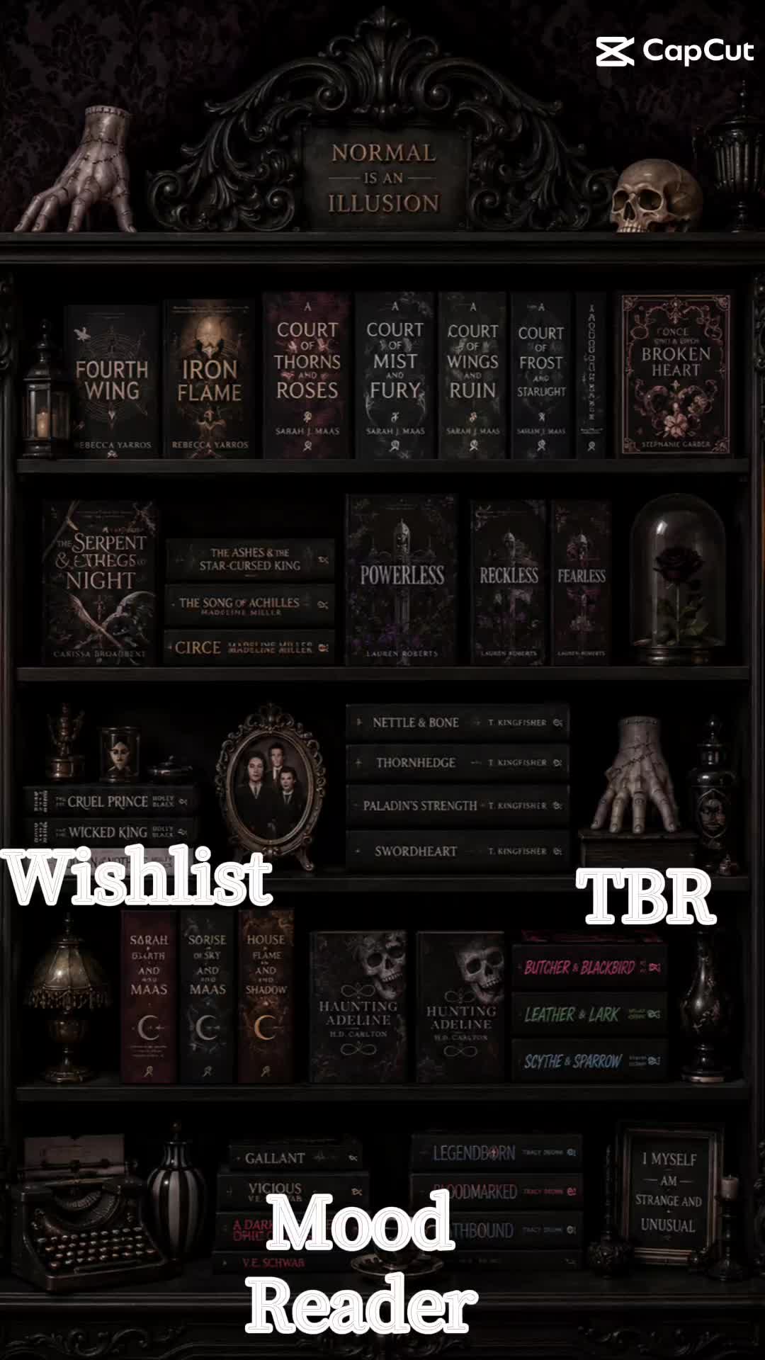 @Midnight Merchant 📚🖤🌶🕷