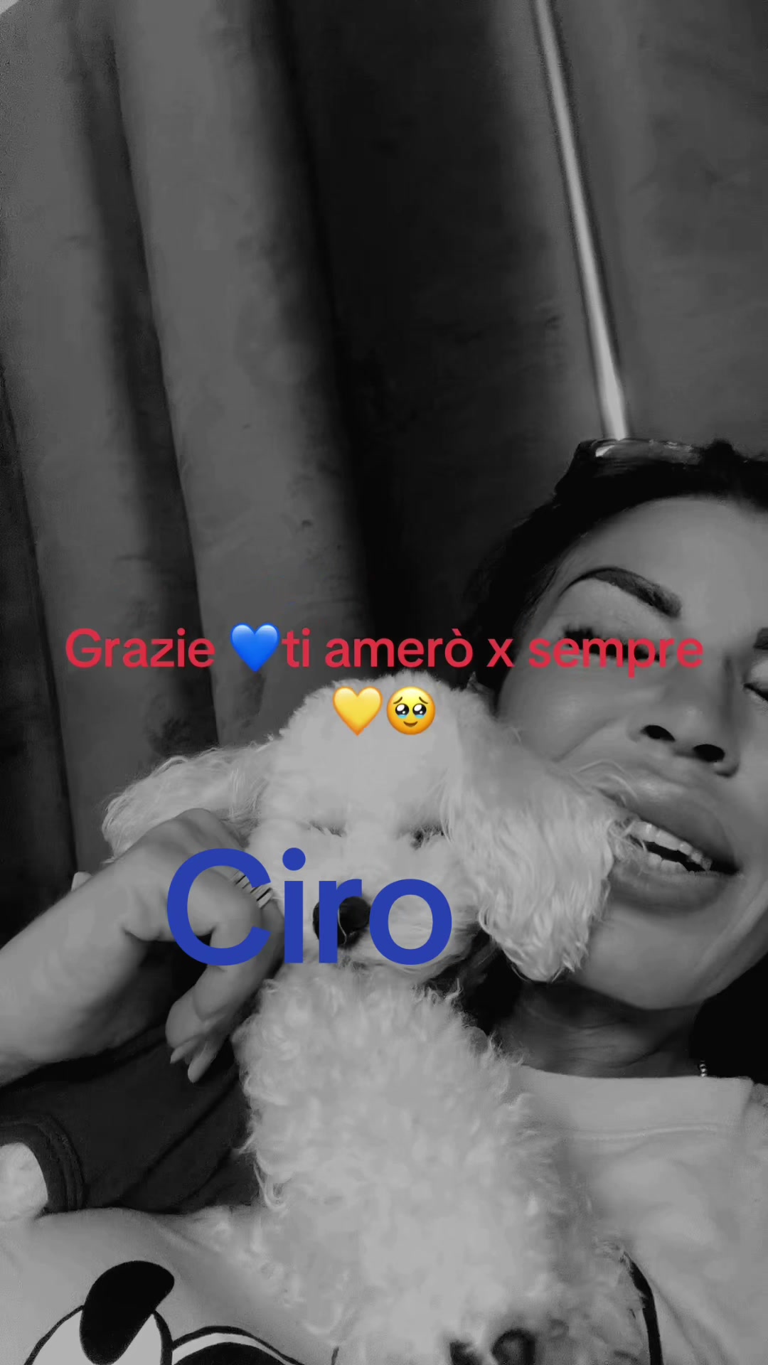 @Impresa Ciotola💙💛
