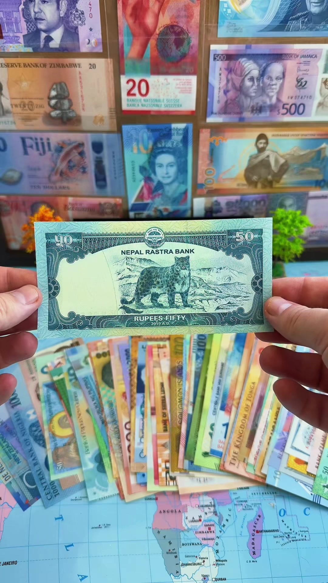 @World Banknotes ๐ต๐