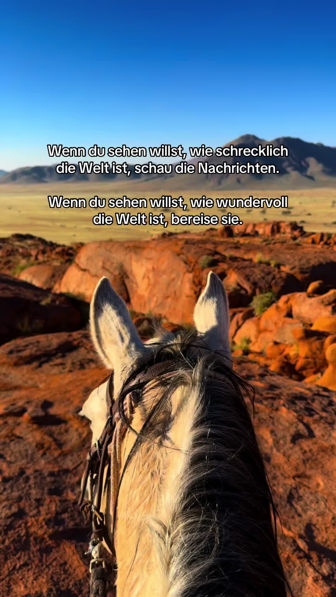 @Hoof & Travel 🐴🌍🐘