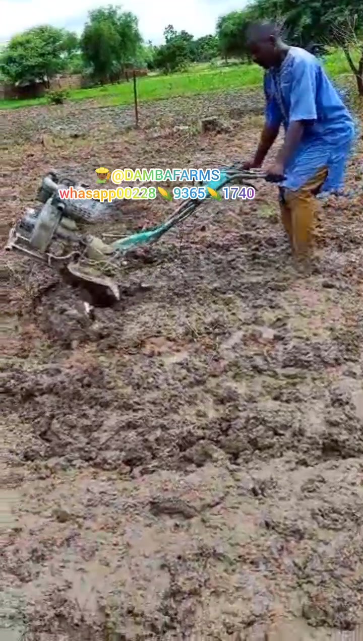 @dambafarms