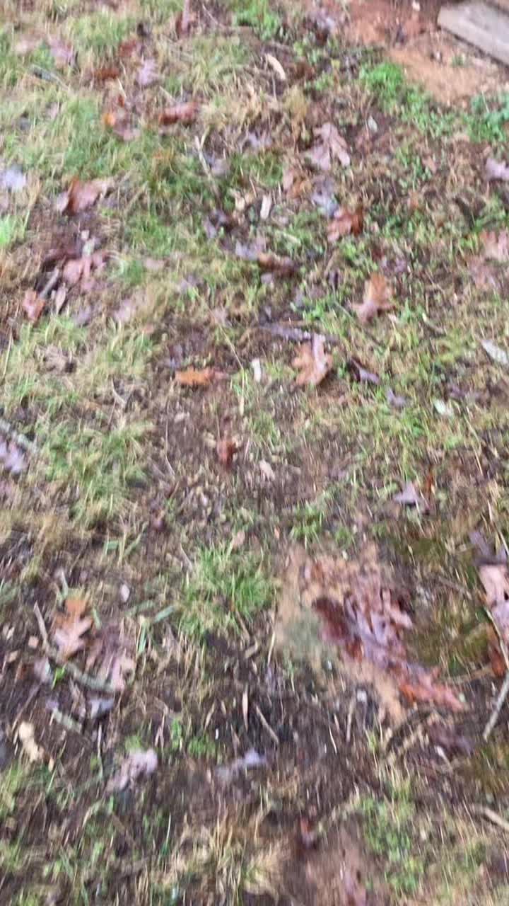 @Blue.collarmt$
