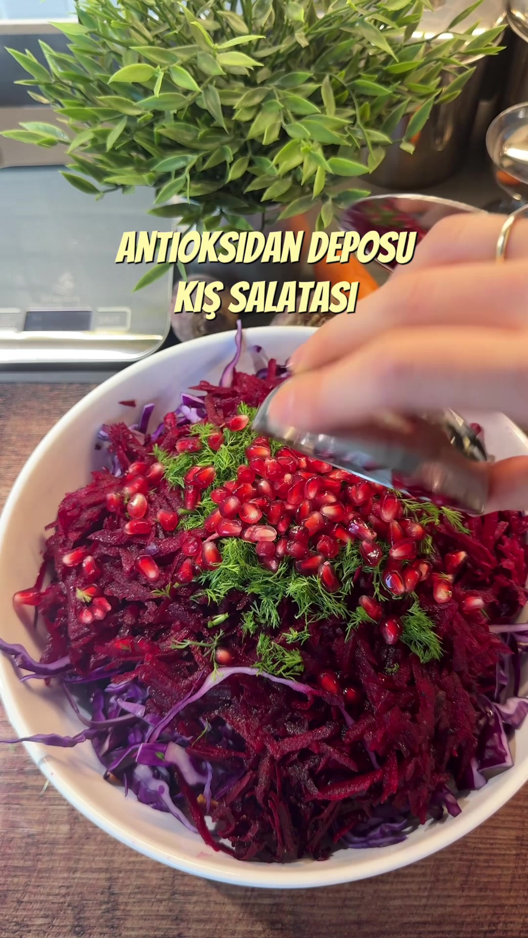 @Gaye Akbulut