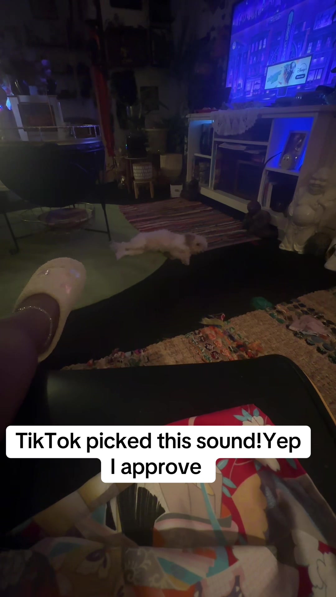@Nikki