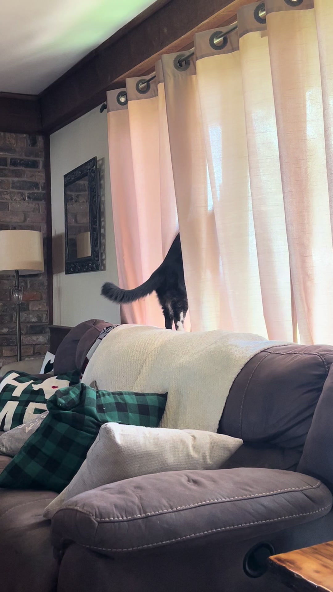 @presleythetuxie