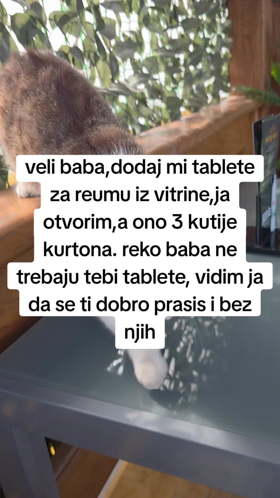 @jebivjetarpro