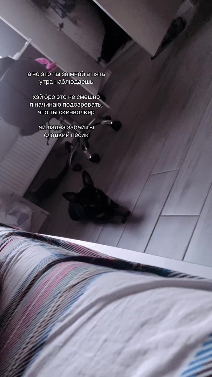 @чорт в чiшках