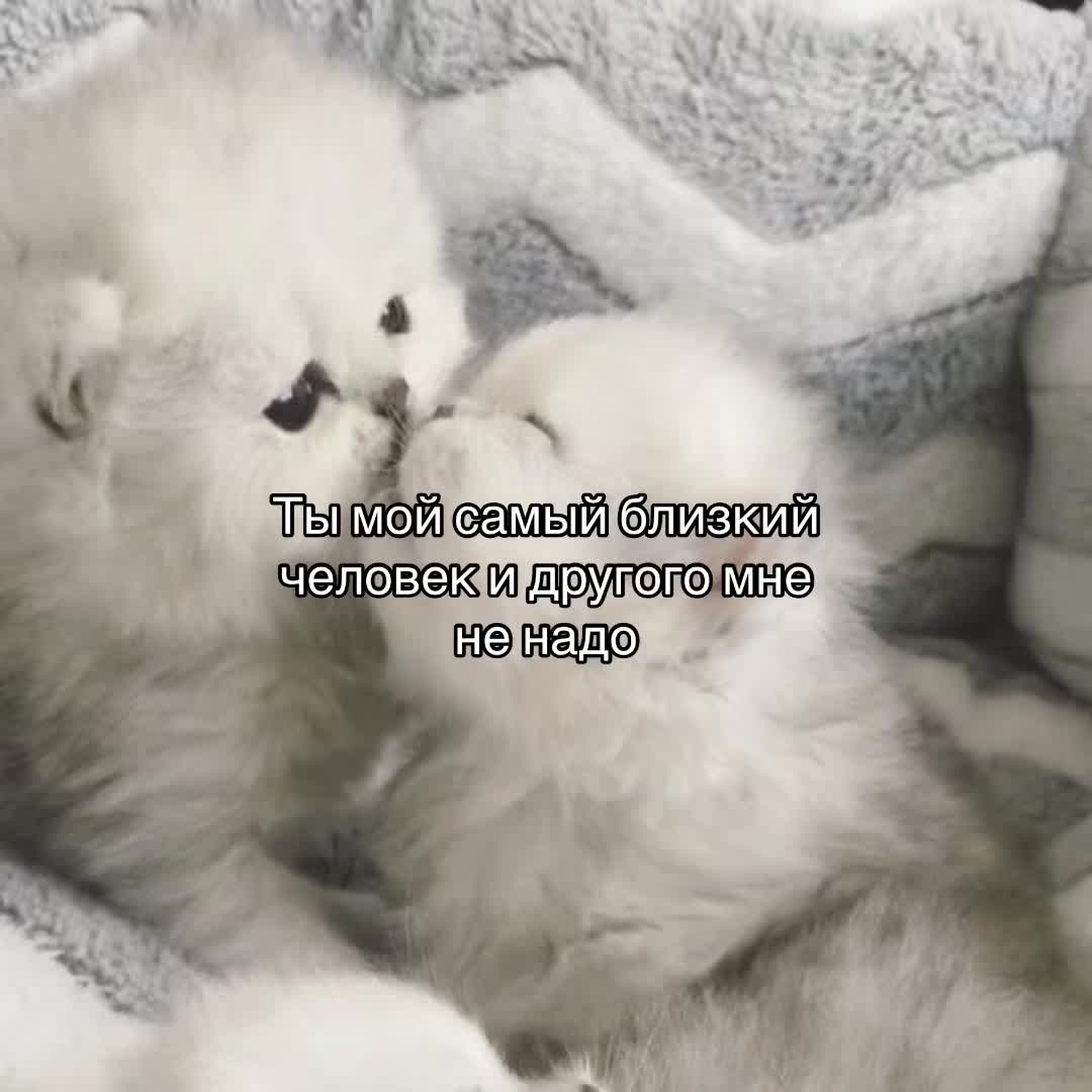 @ 