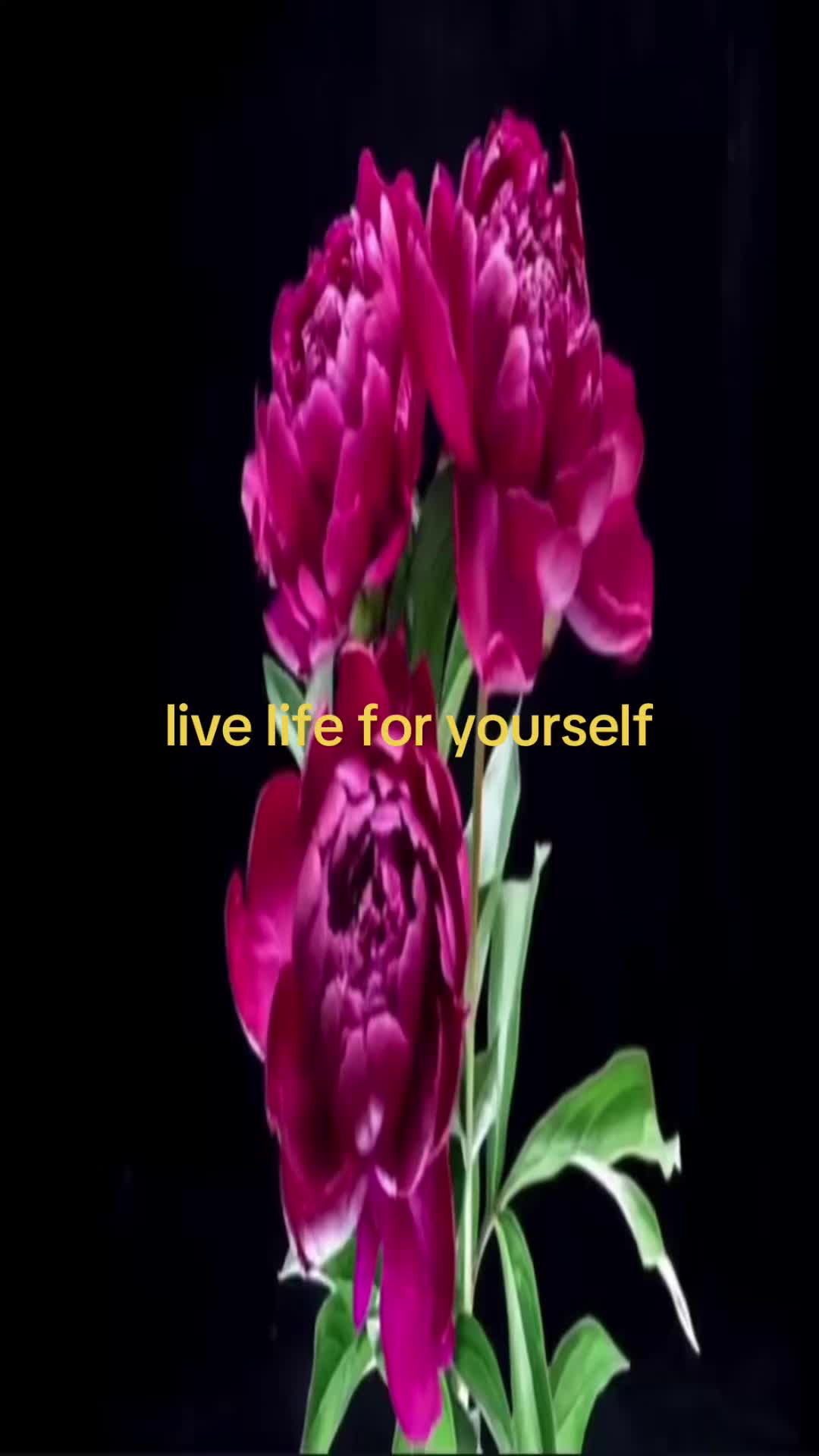 @愛