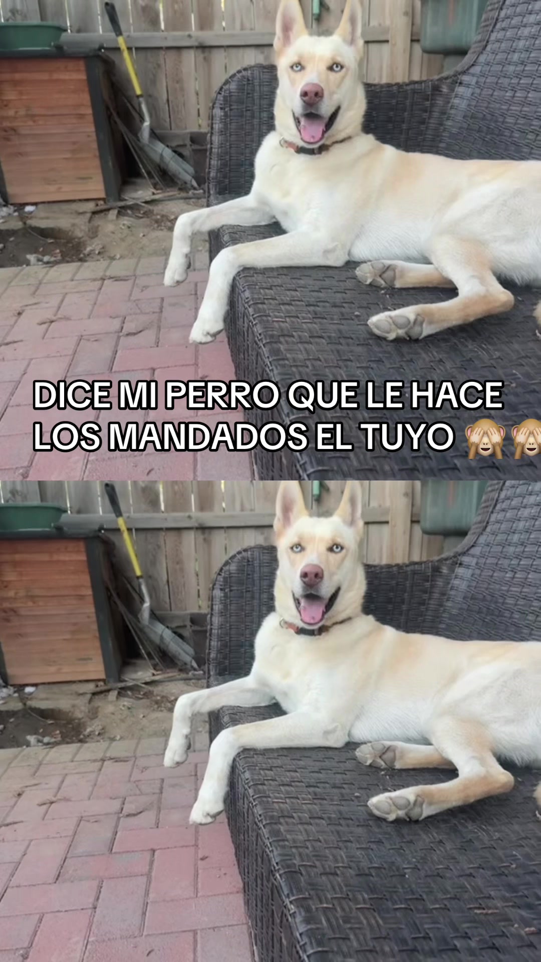@maria s rodriguez