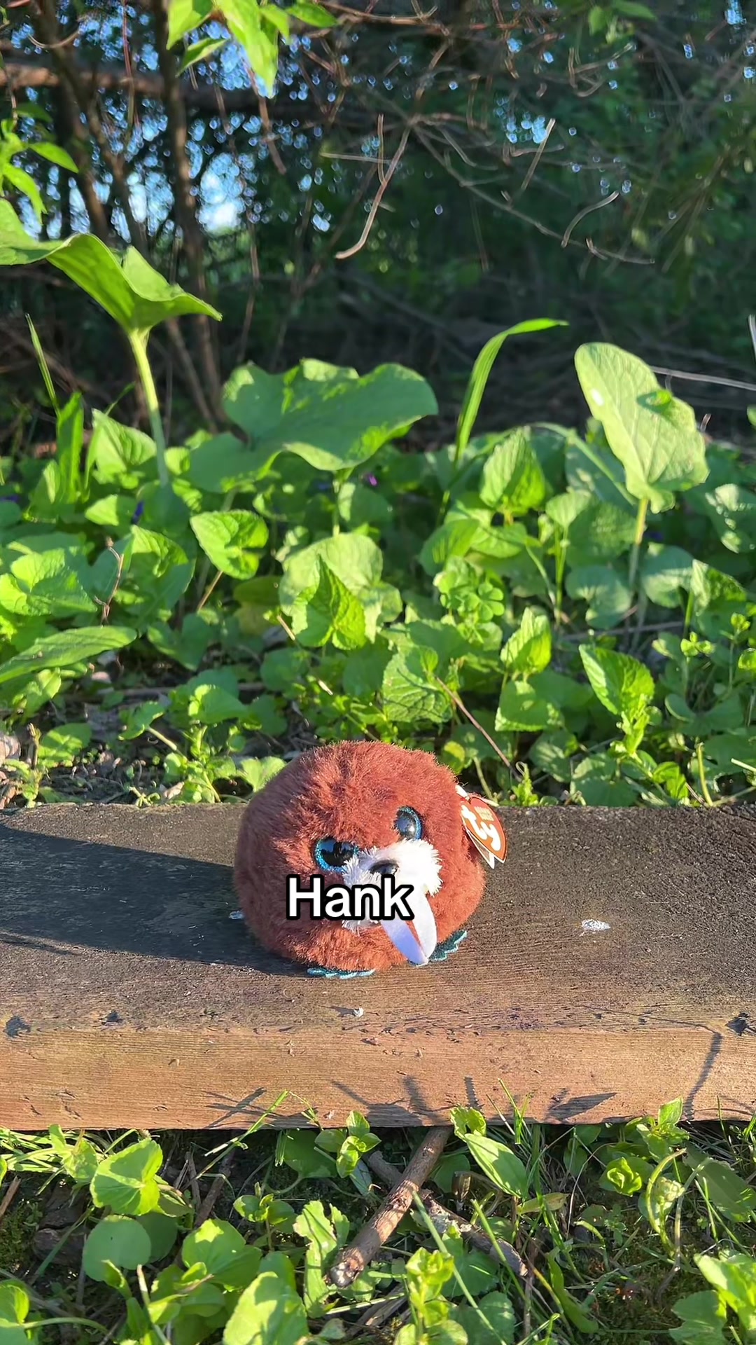 @Friut
