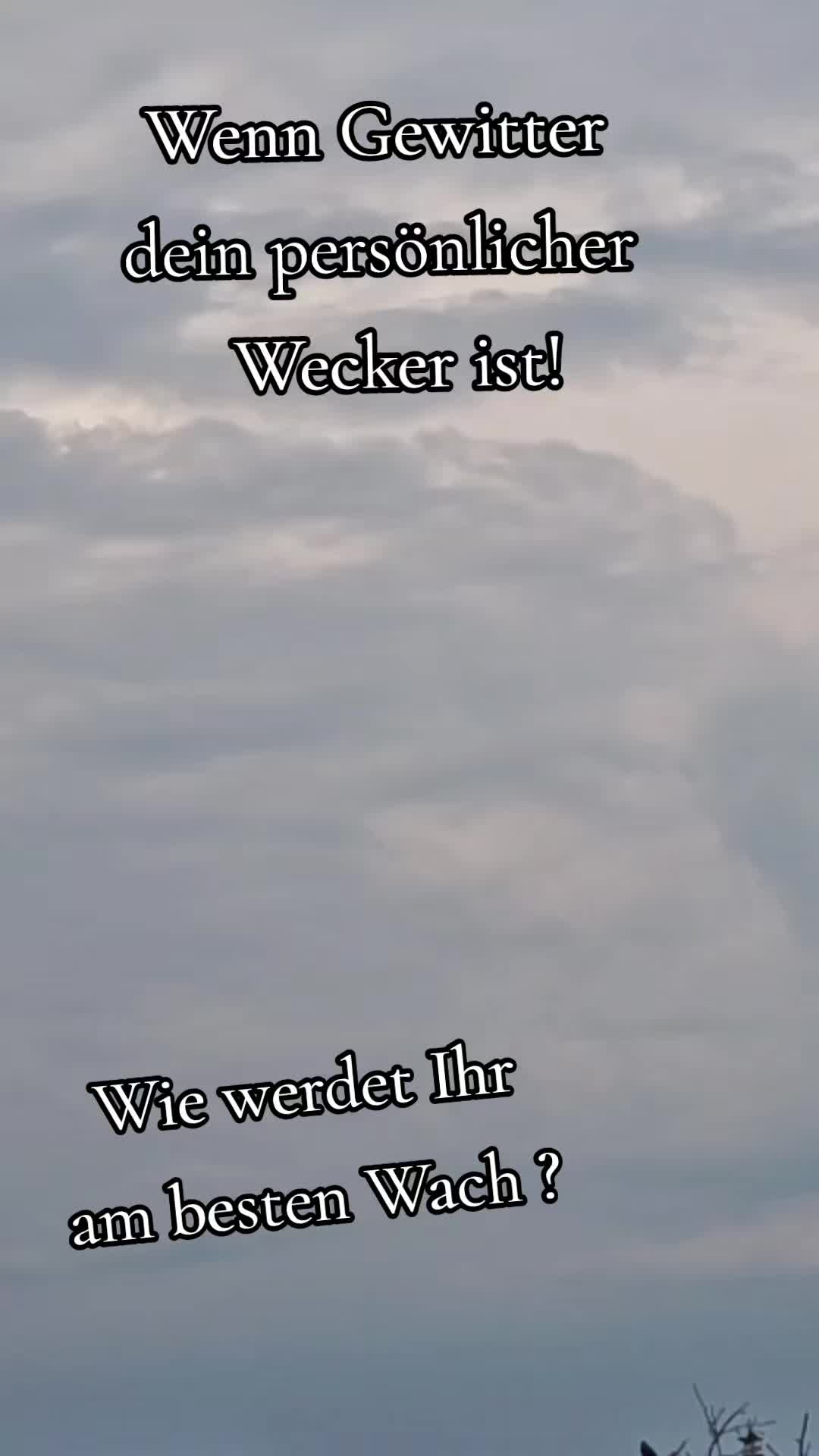 @𝑷𝑰𝑵𝑶