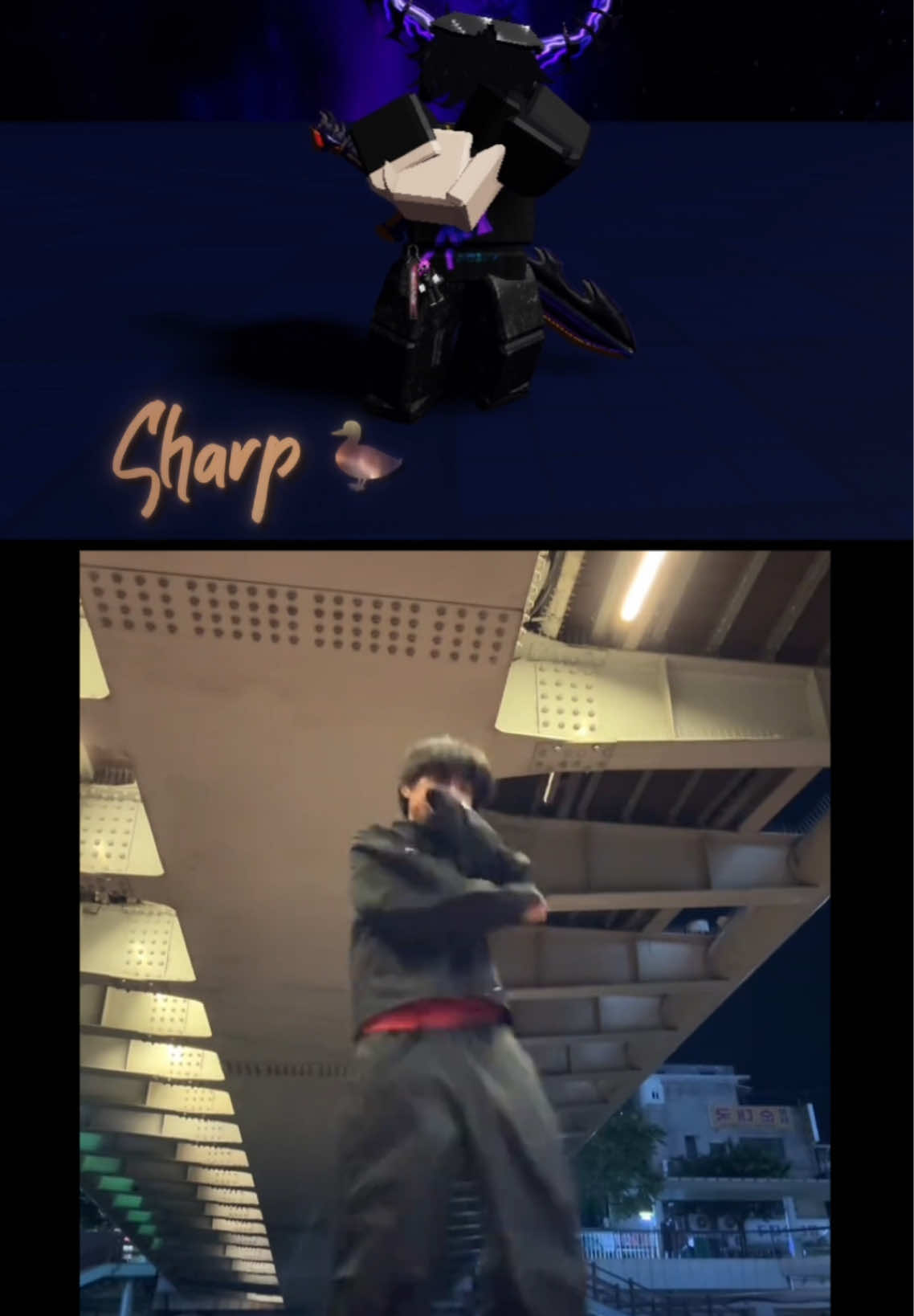 @sharp 🦆