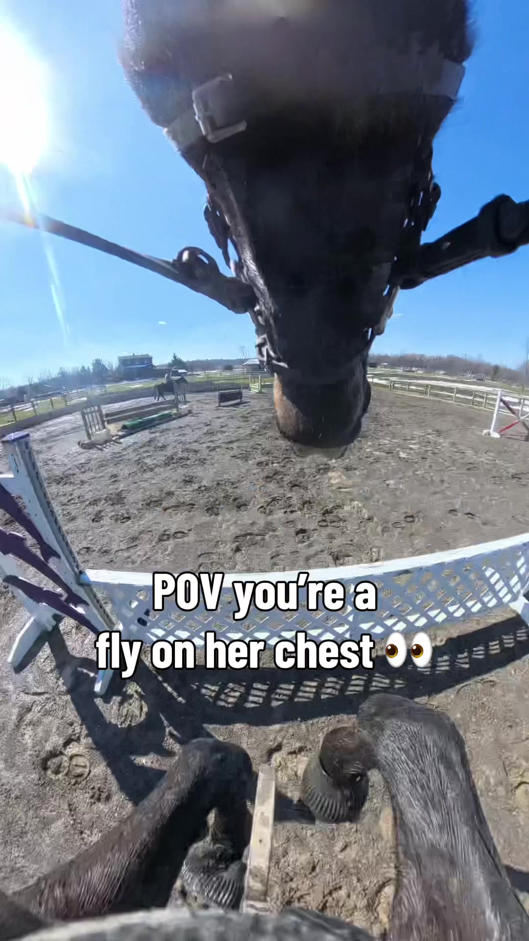 @Bennett Sisters Eventing