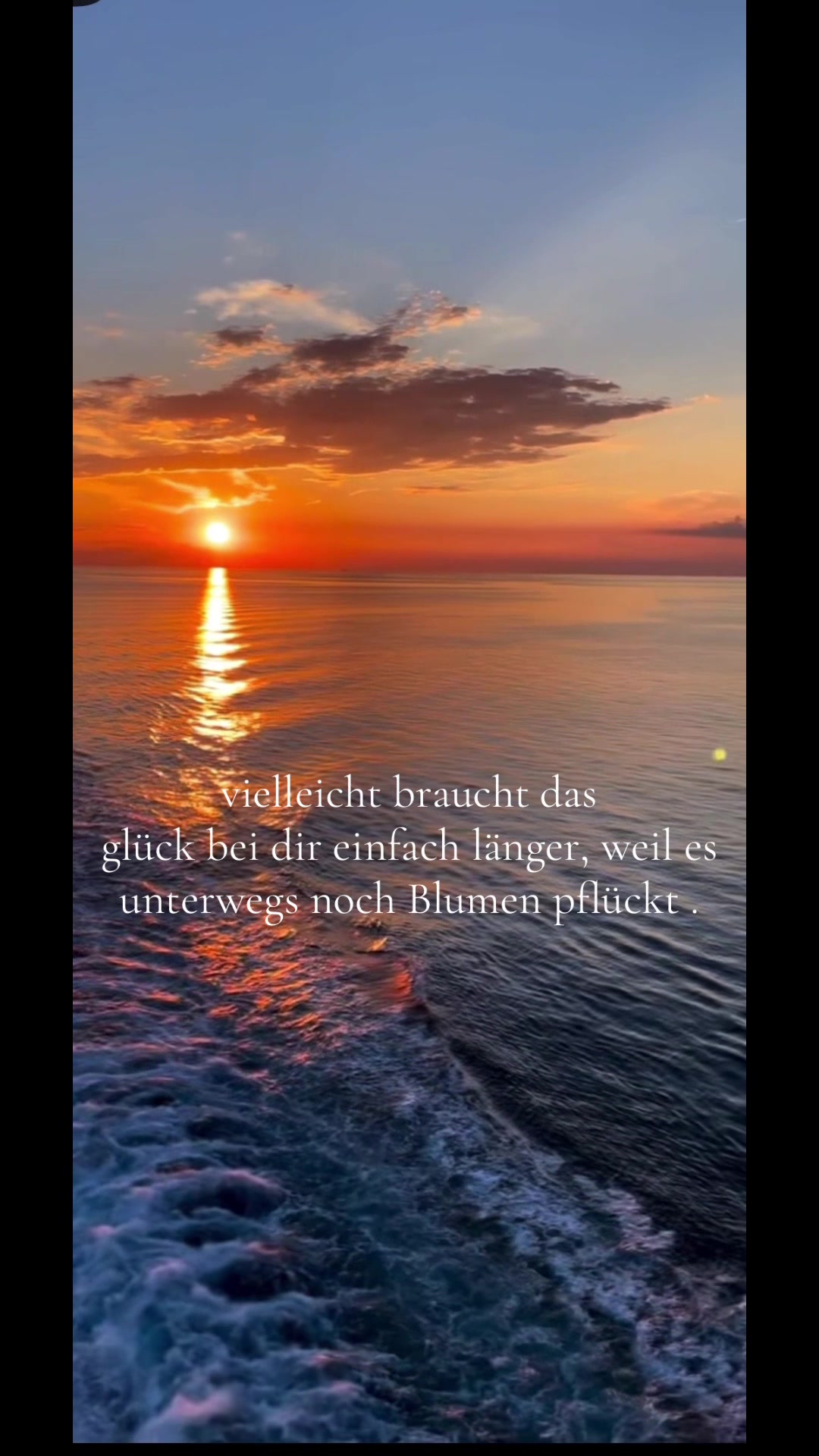 @𝓢T̷𝐄𝐩нᎥ𝔼🌹Ƥü𝓅P𝐂ℍᗴη🧸♡