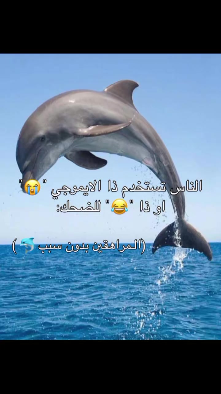 @๐๐ฟ๐ถ๐ป๐ฒ๐