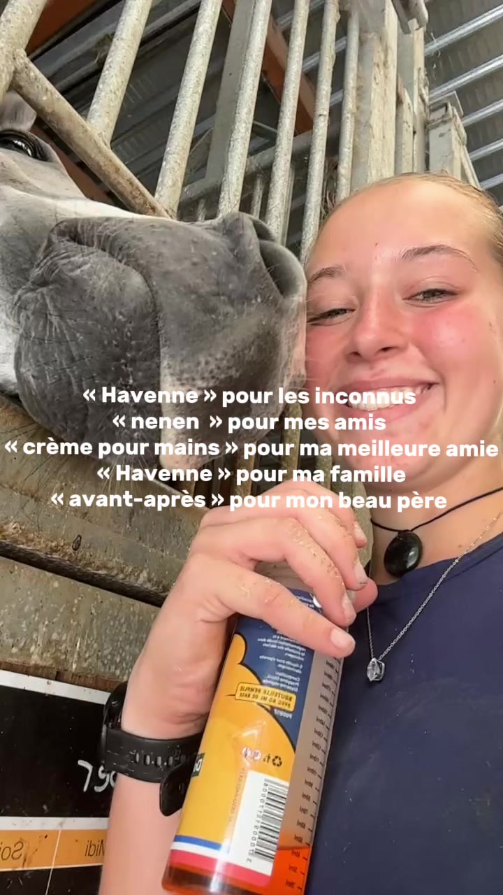 @havenne_brd