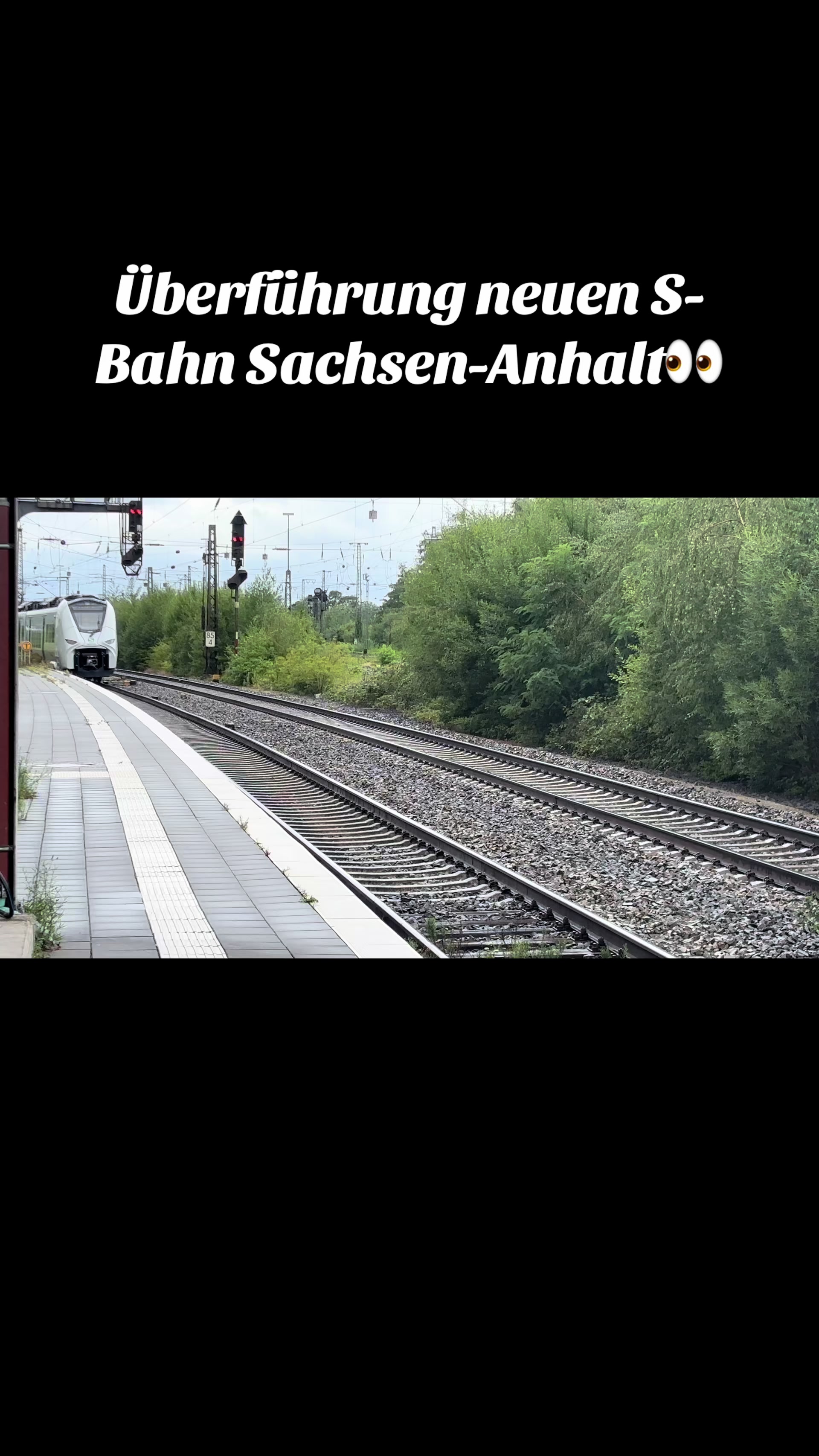 @Trainspotter_BVB