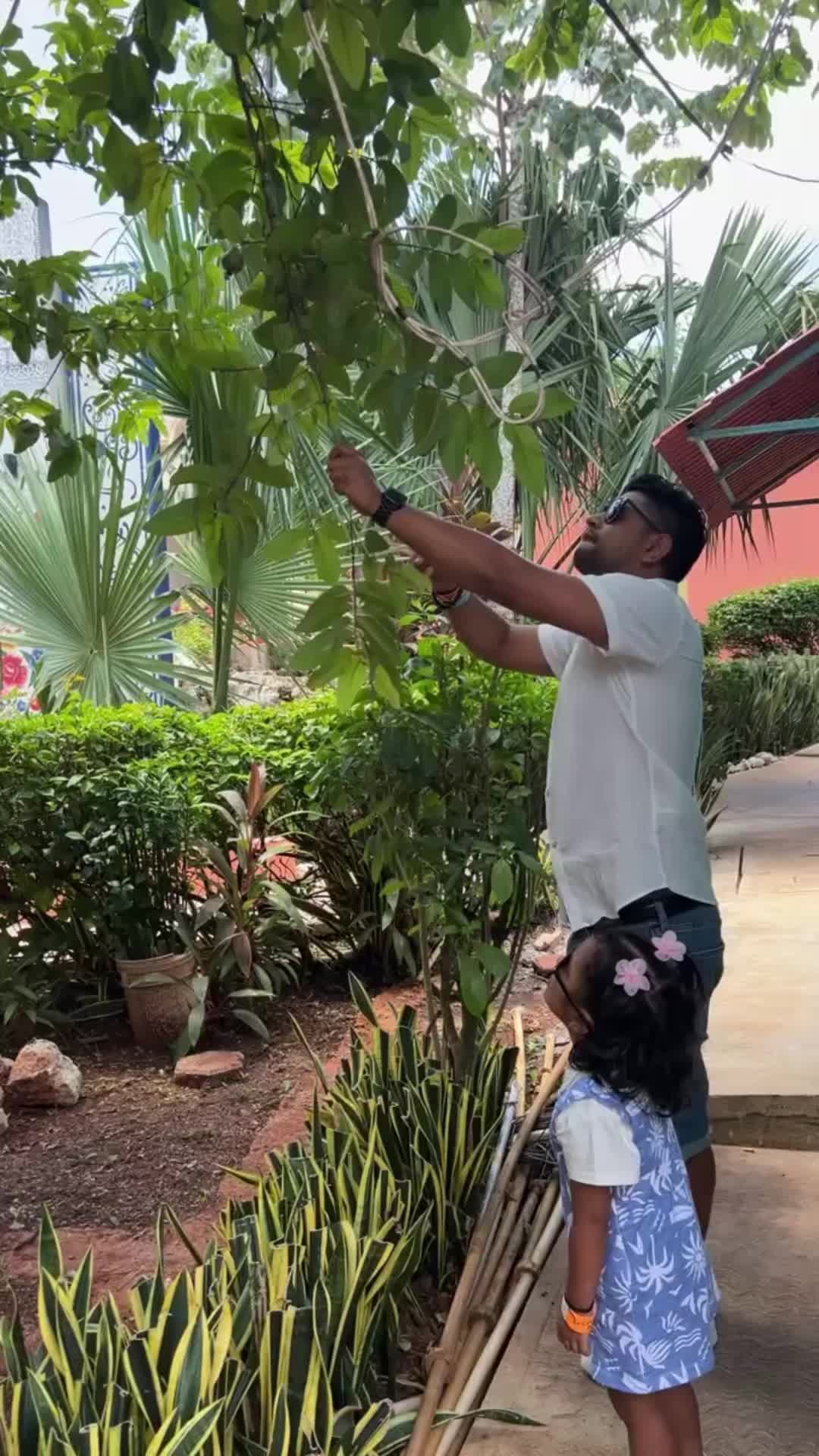 @Rewati Dhungel