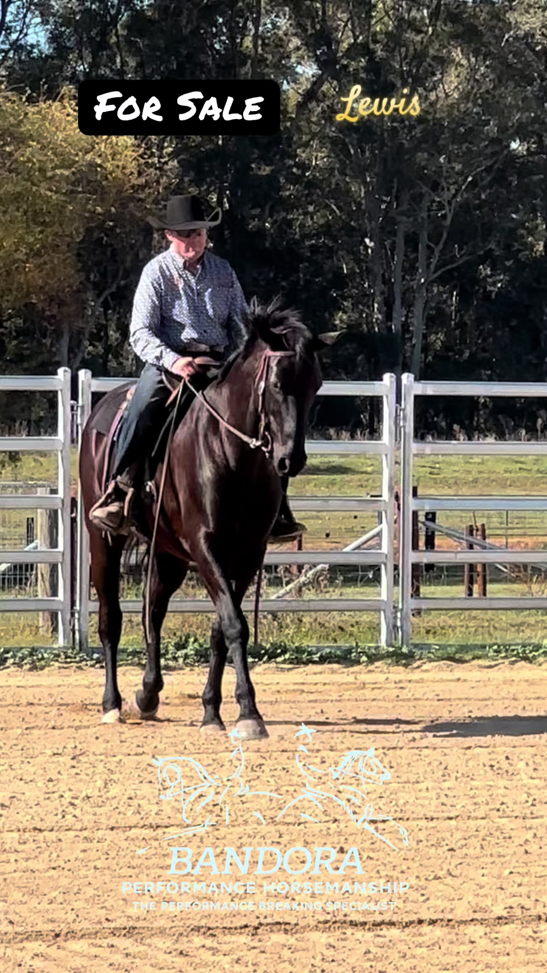 @Bandora_Horsemanship
