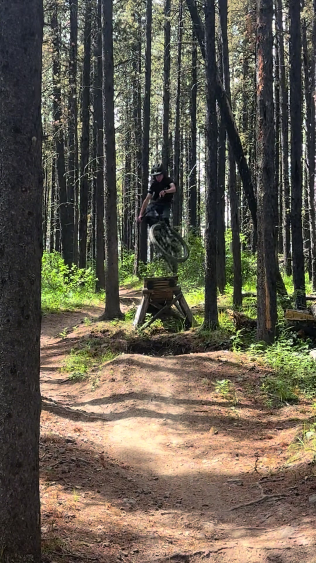 @Ali🇨🇦🇬🇧on_HD6