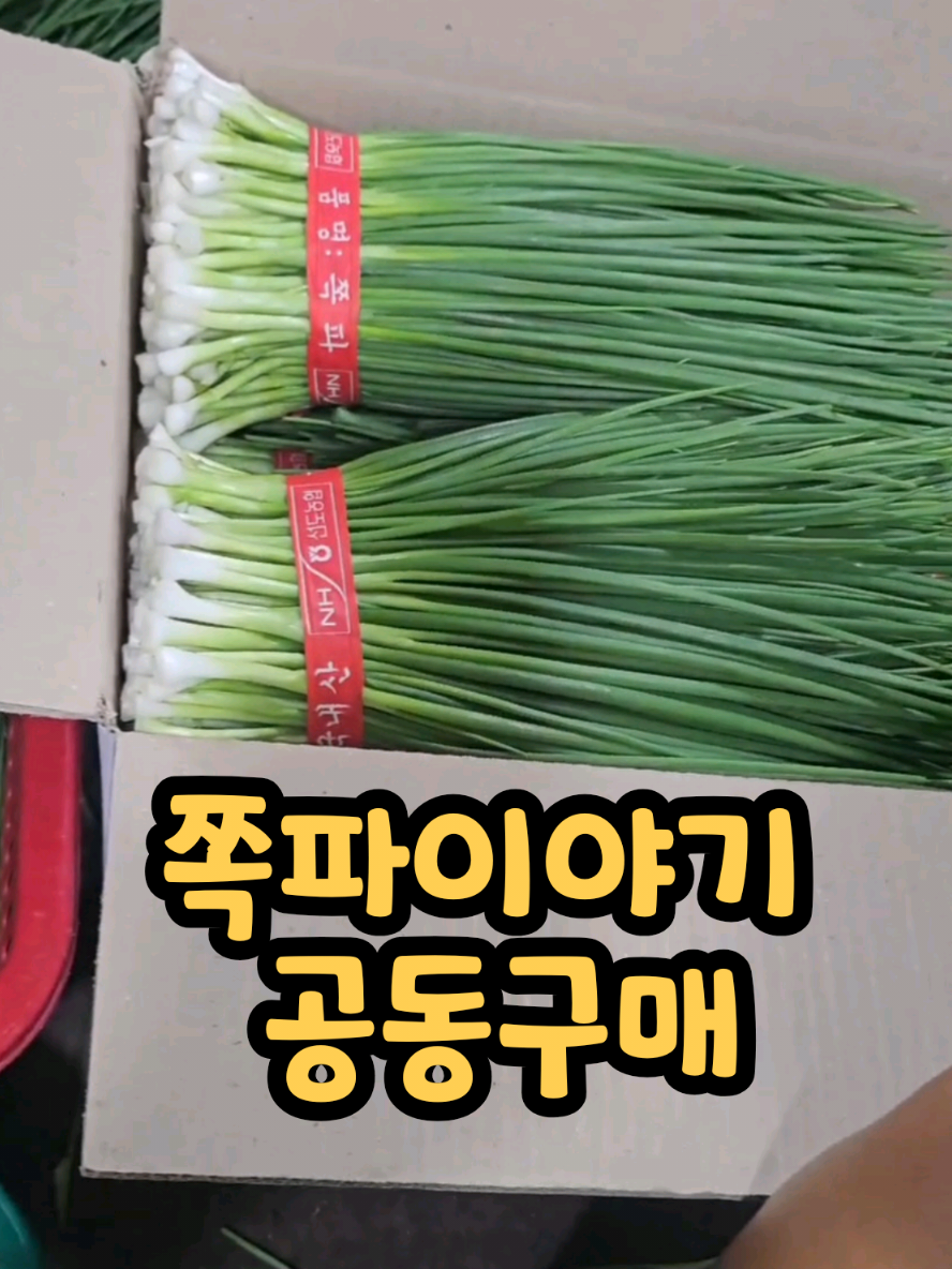 @나미제이