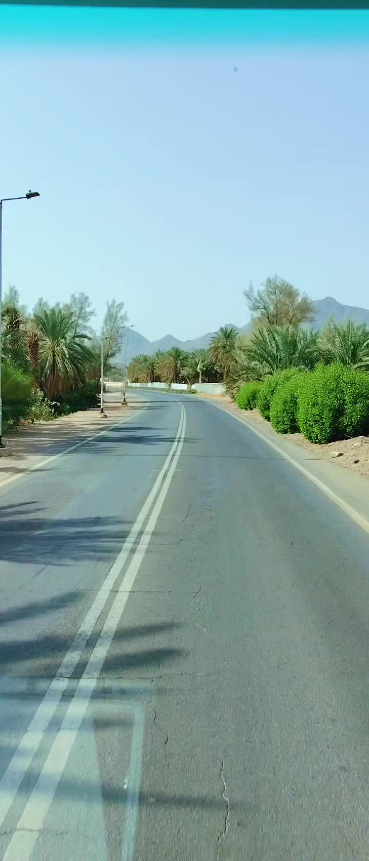@kulir shameer