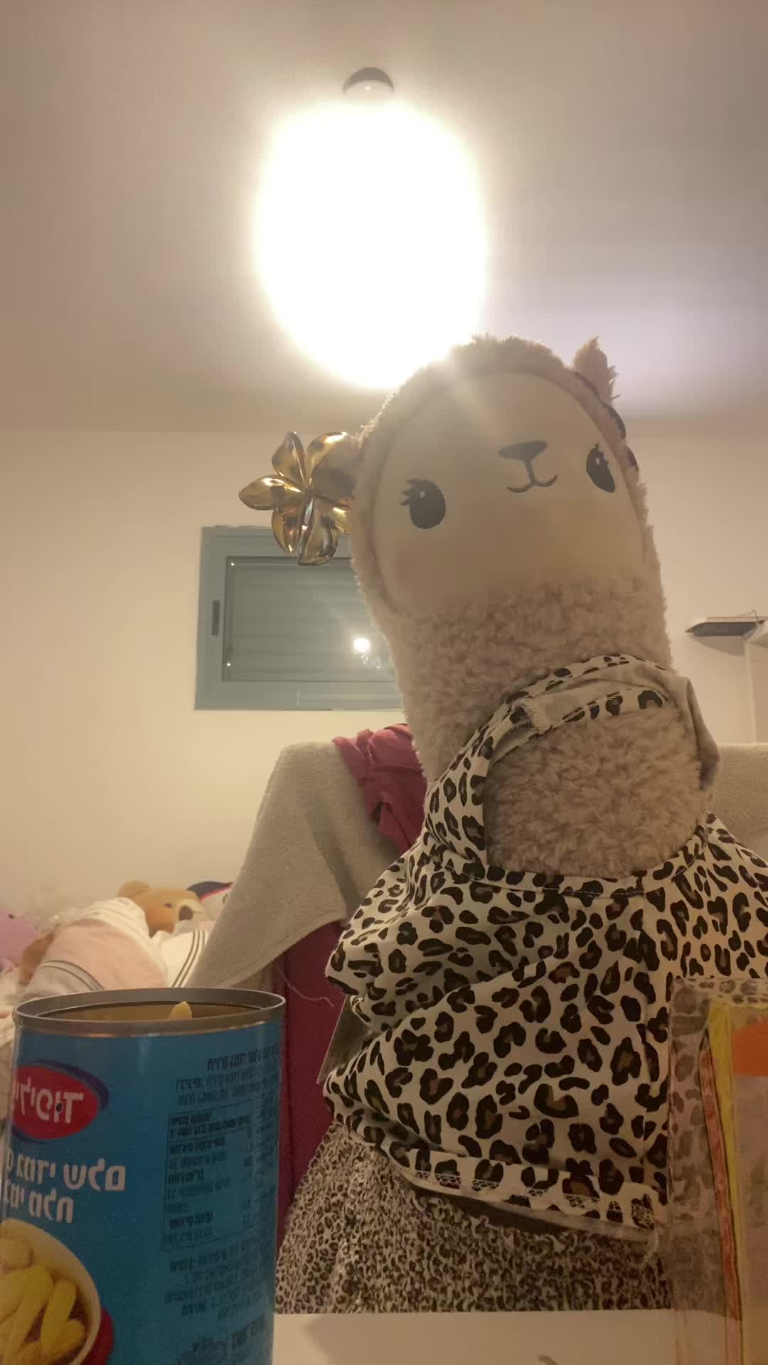 @שלומית הפיימוס 🦙🦙
