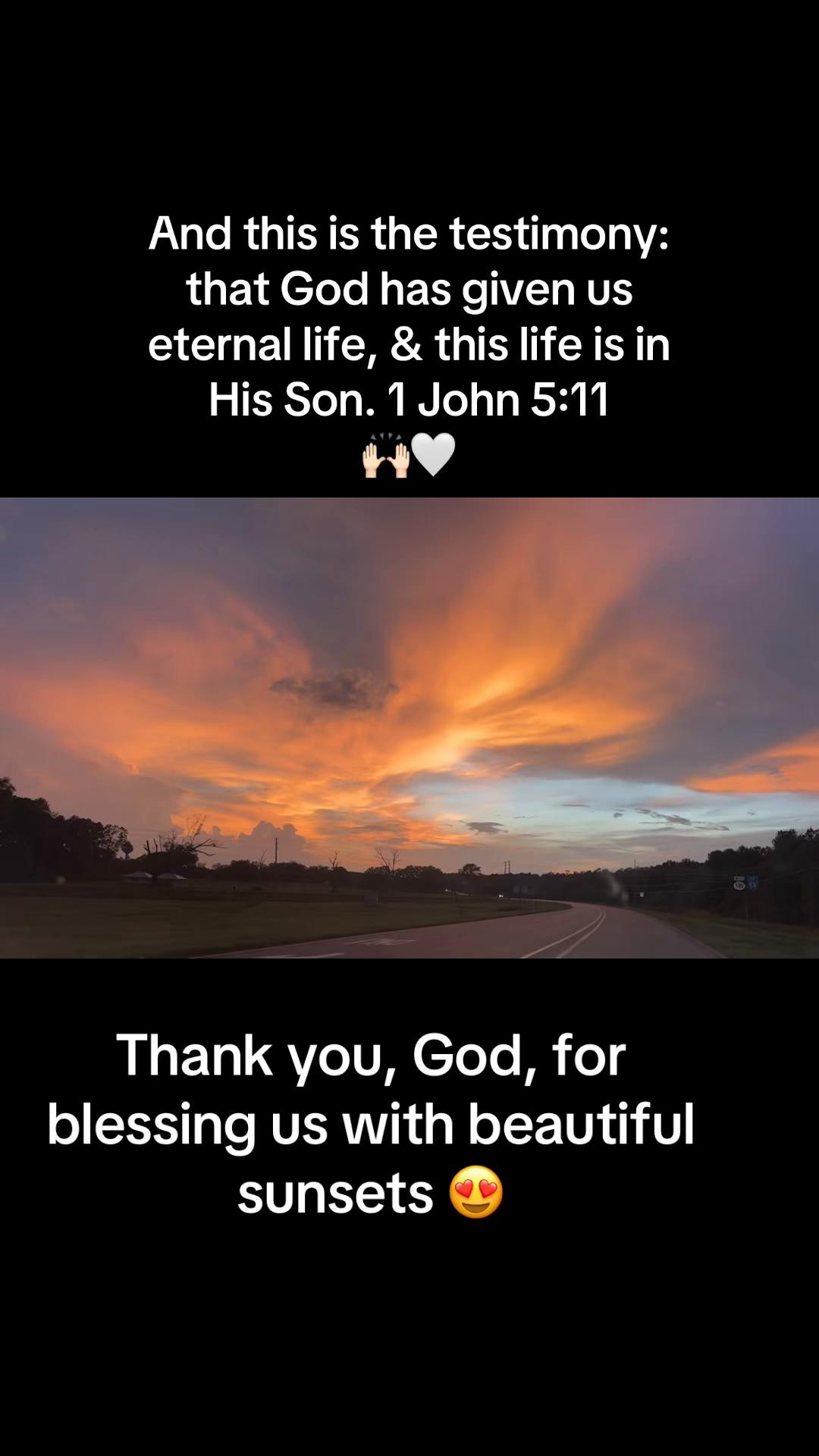 @Lovely_littlefinds