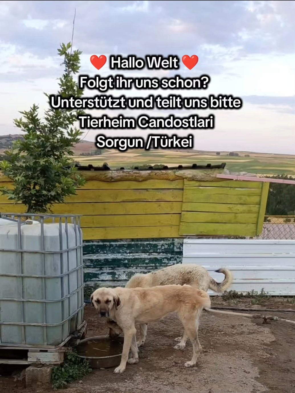 @TSV Candostlari-Beste Freunde