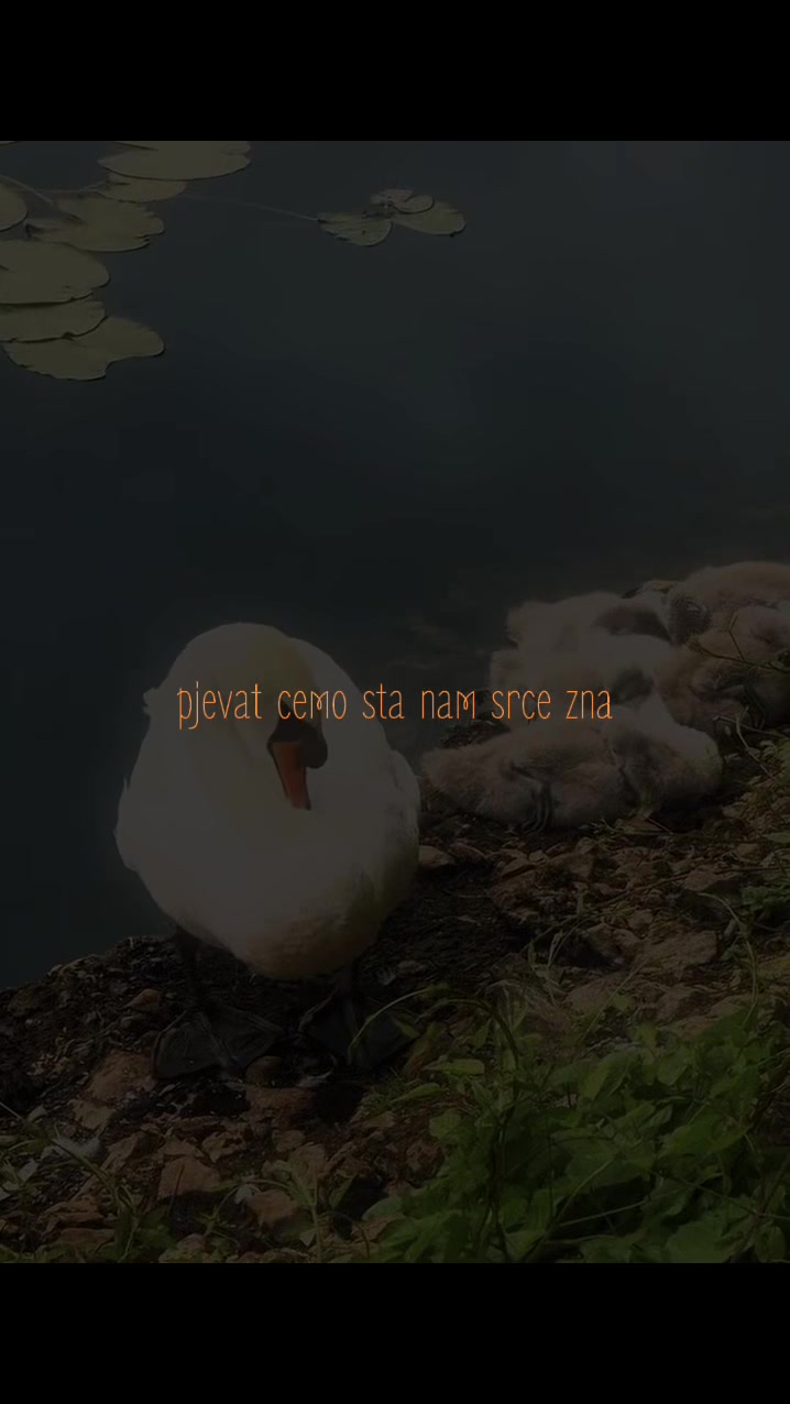 @...