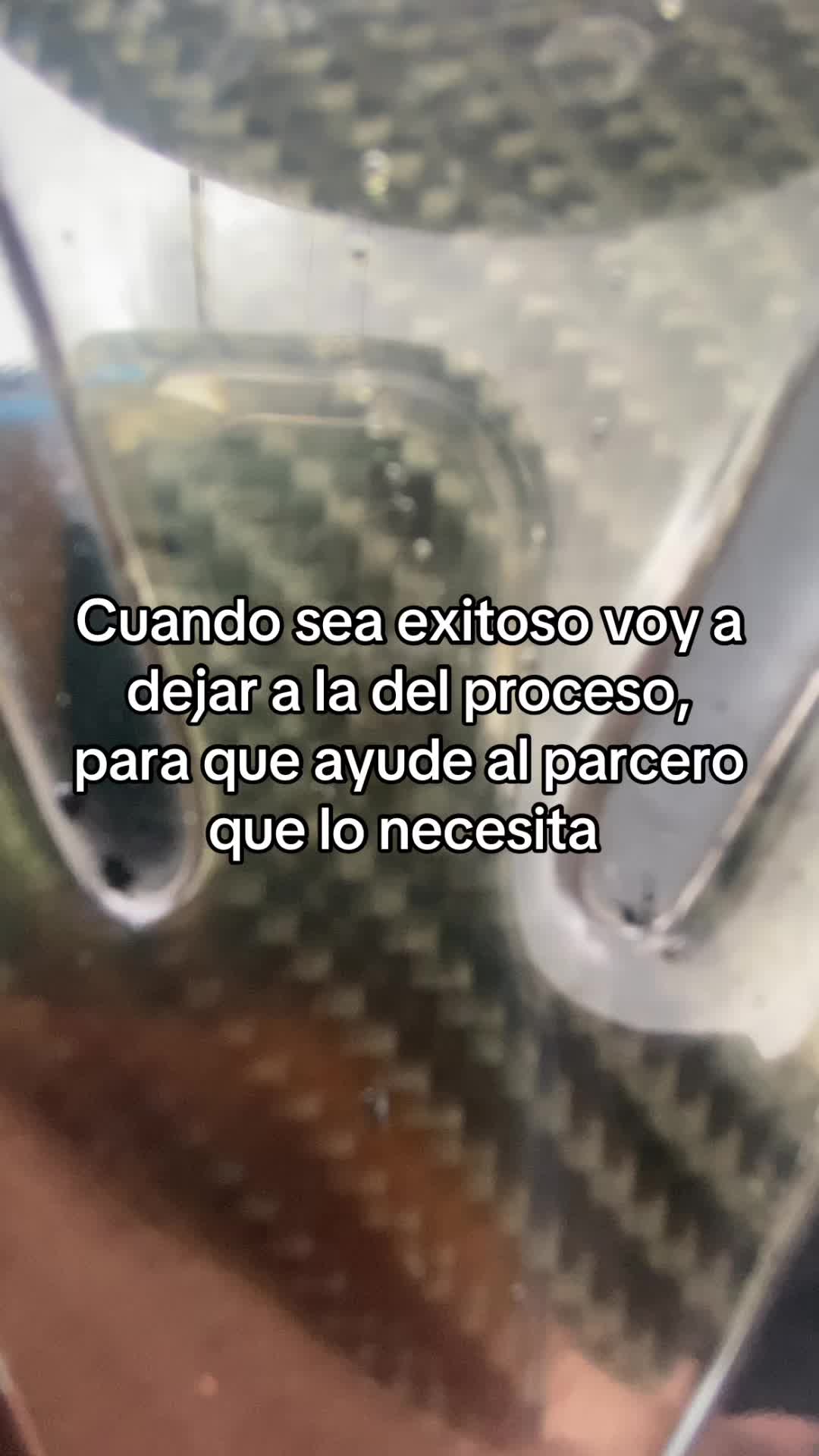 @Bryan Celis