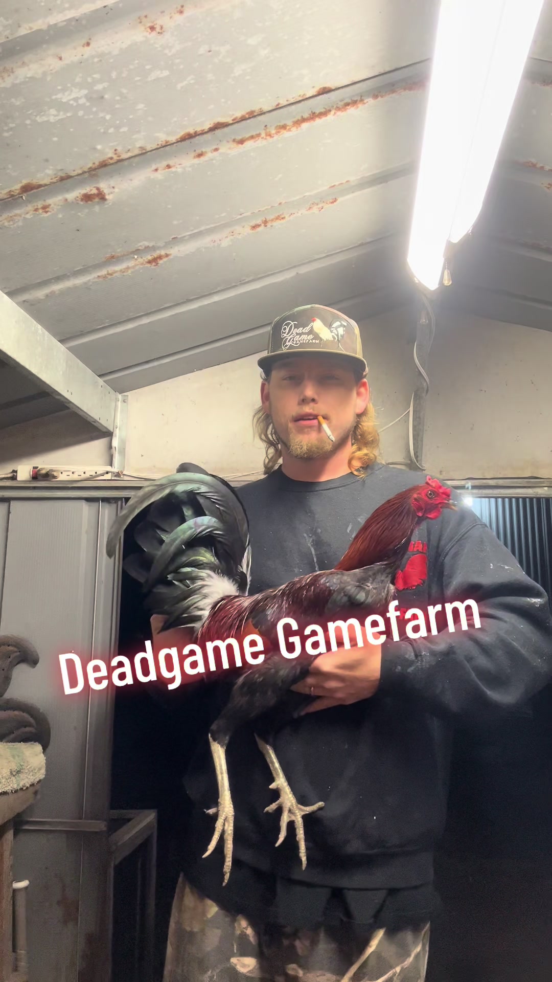 @DeadGame.Gamefarm