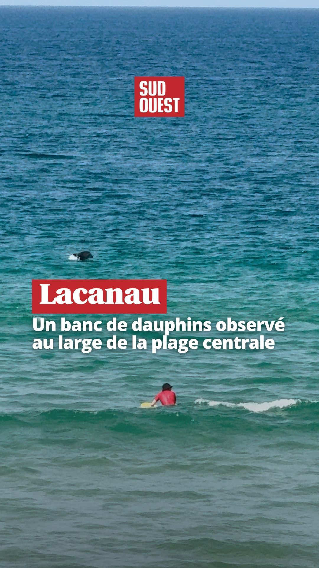 @Sud Ouest