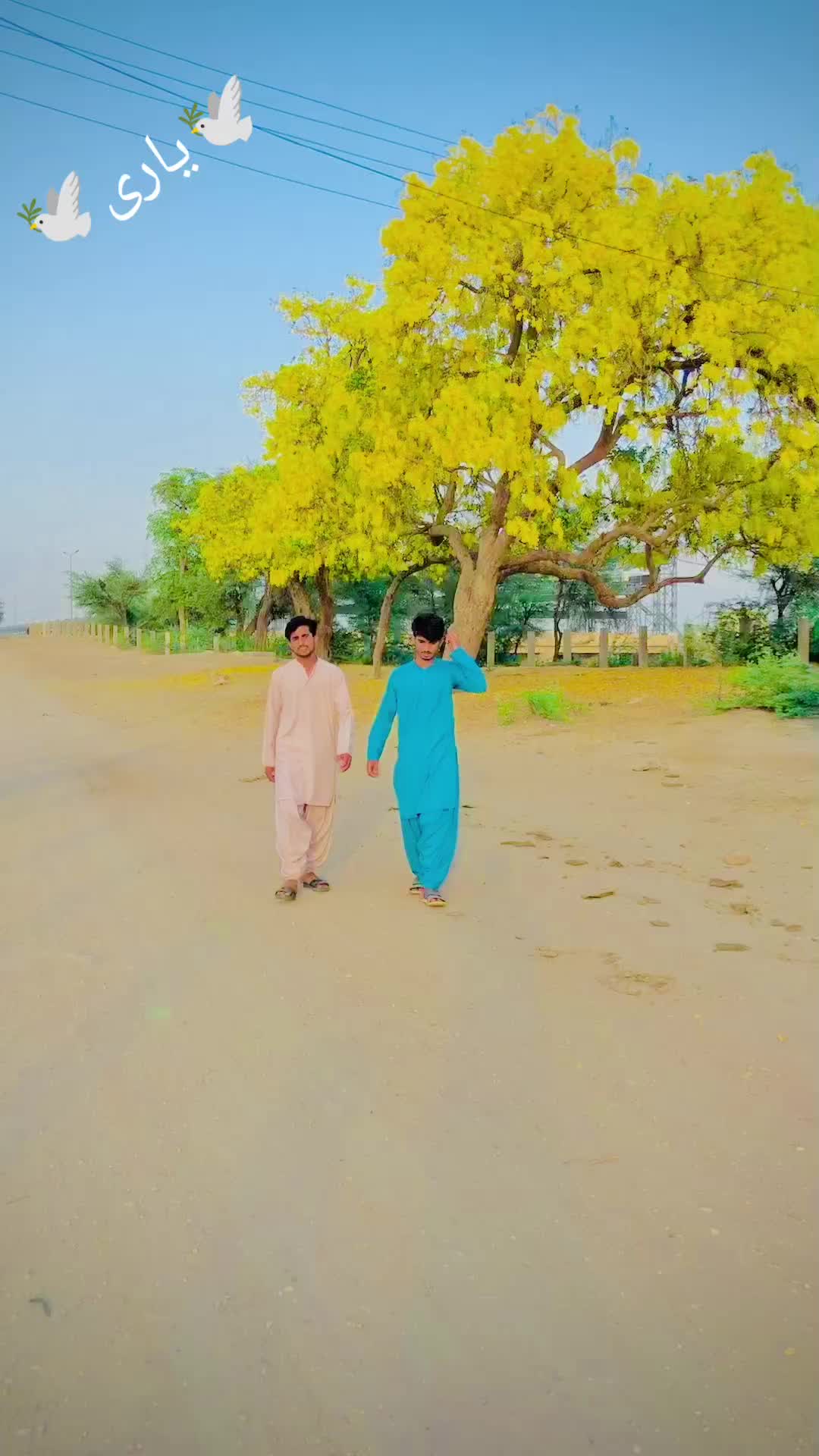 @🐦&zwj;🔥MOHSIN🐦&zwj;🔥