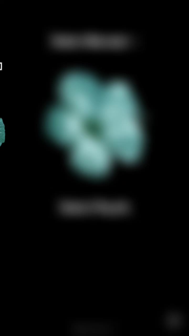 @๐ฐ๐๐๐๐๐๐_๐ฟ๐๐๐_๐โ ๏ธ