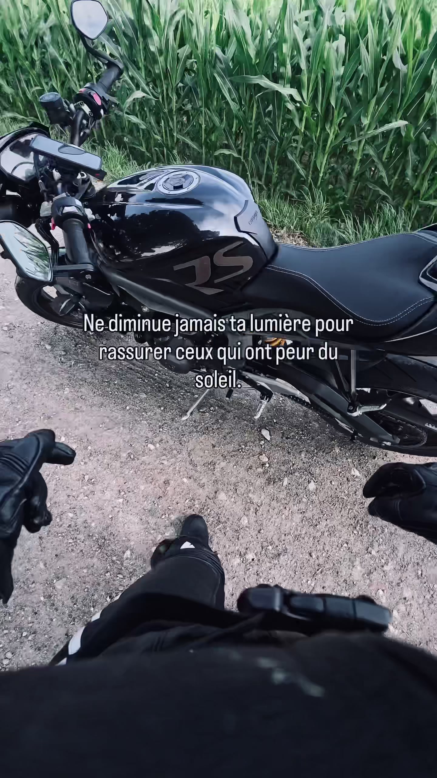 @Noxine76