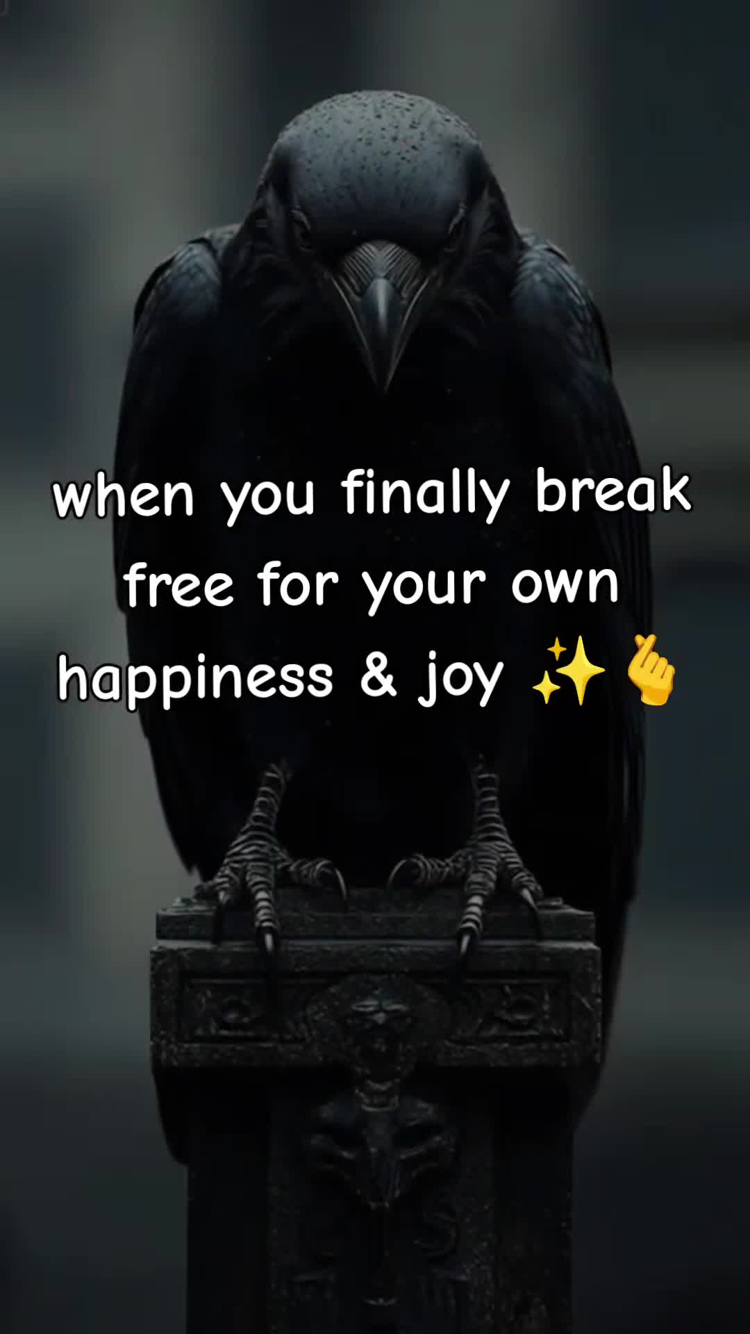 @andreaor58🤍