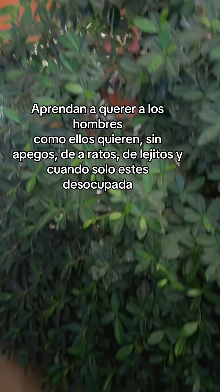 @andreamunguia00🐶