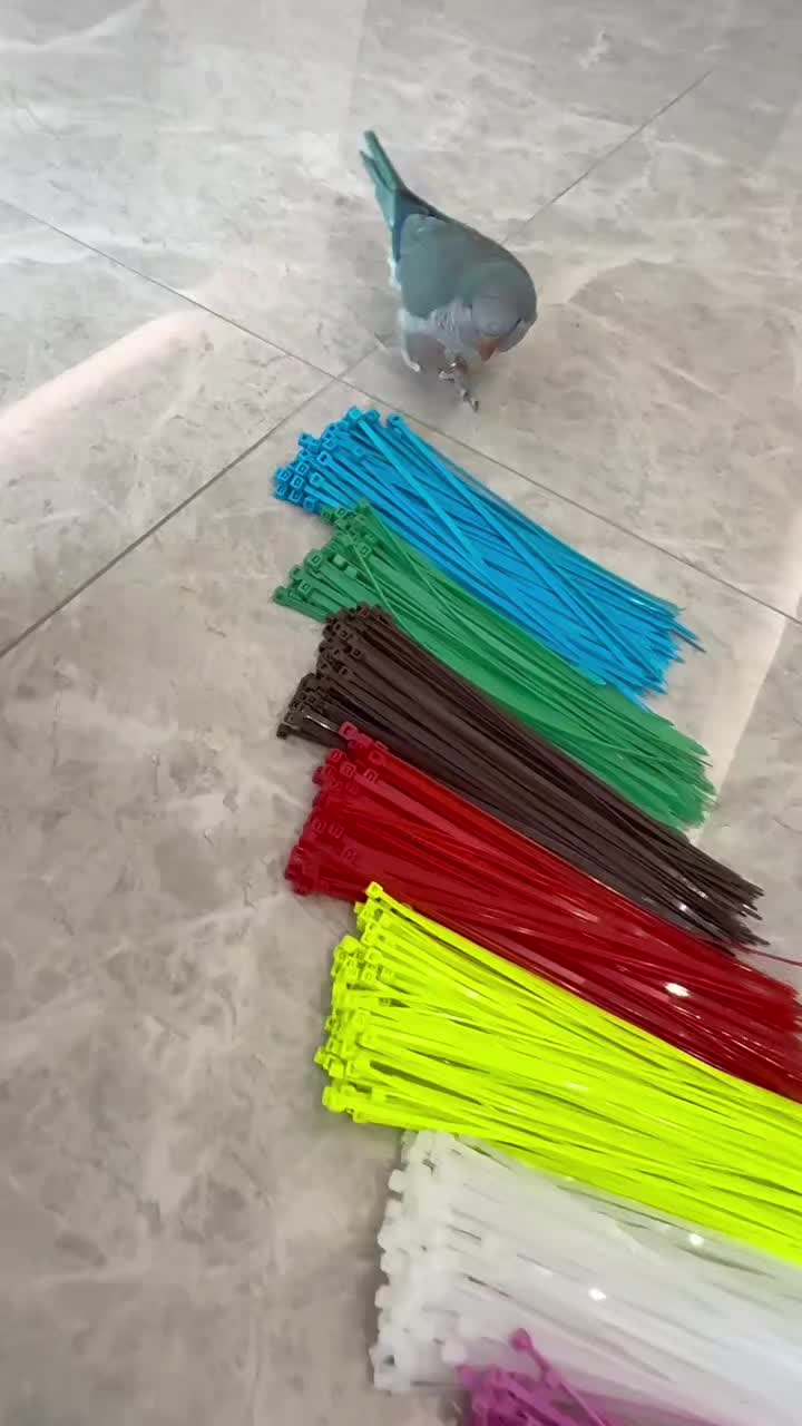 @LOVE &trade;️Ⓜ️