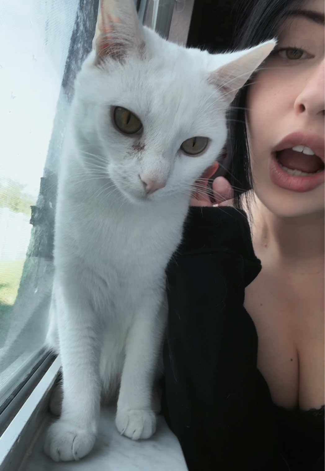 @notkarrigantaylor