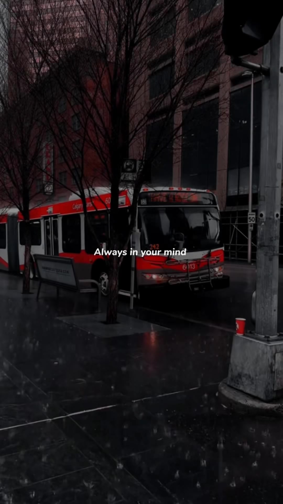 @𝐌𝐒 𝐓𝐄𝐑𝐑𝐈𝐅𝐄𝐑