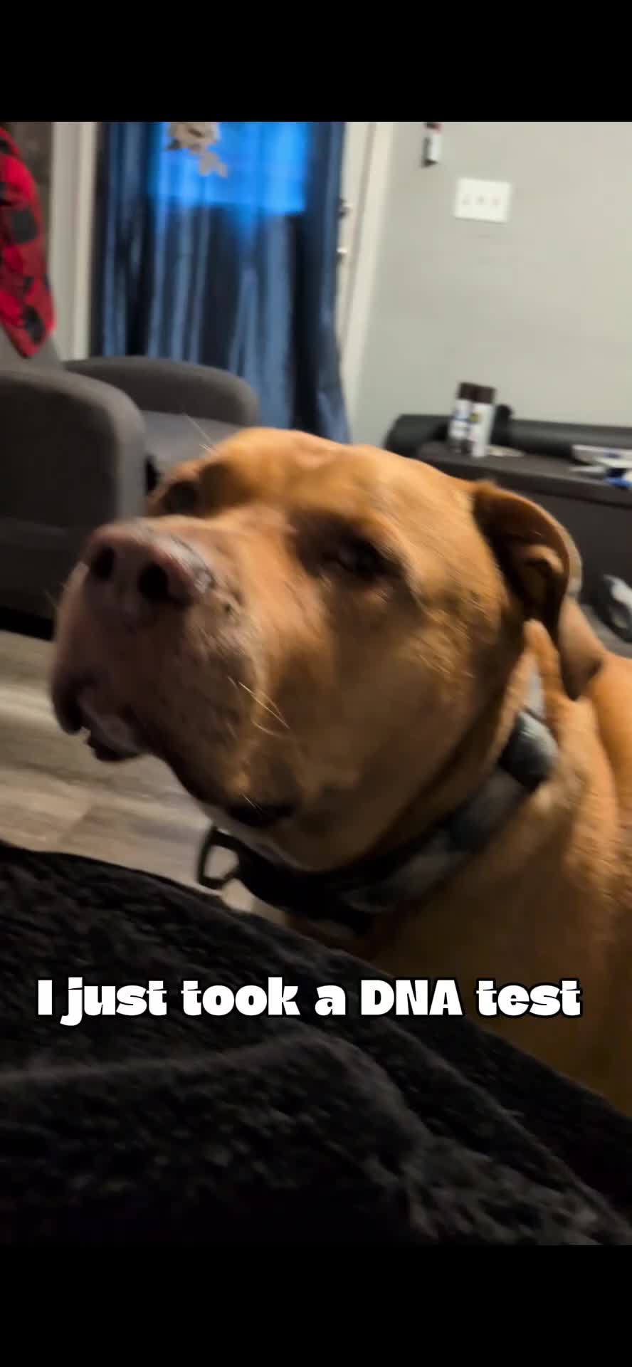@DiDi