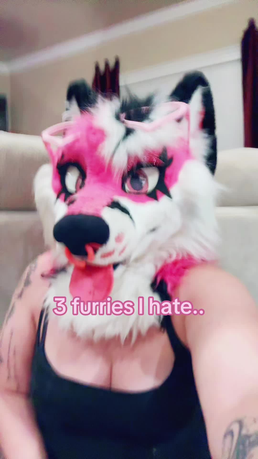 @pinkgeminihuskyofficial