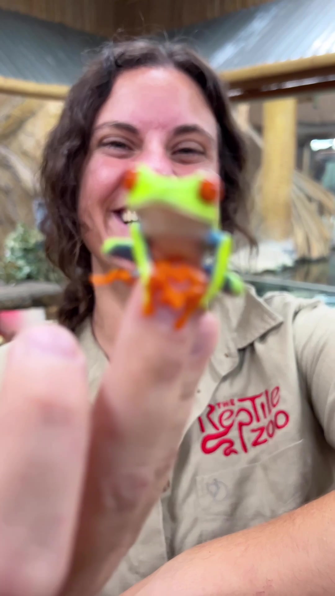 @The Reptile Zoo